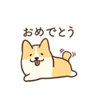 人懐こいコーギー(日常会話)（個別スタンプ：11）