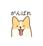 人懐こいコーギー(日常会話)（個別スタンプ：12）