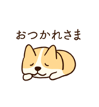 人懐こいコーギー(日常会話)（個別スタンプ：14）