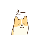 人懐こいコーギー(日常会話)（個別スタンプ：17）