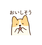 人懐こいコーギー(日常会話)（個別スタンプ：19）