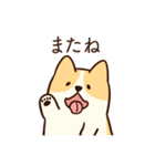人懐こいコーギー(日常会話)（個別スタンプ：24）