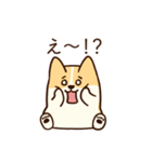 人懐こいコーギー(日常会話)（個別スタンプ：26）