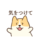 人懐こいコーギー(日常会話)（個別スタンプ：28）