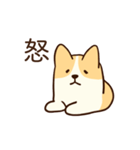 人懐こいコーギー(日常会話)（個別スタンプ：29）