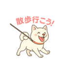 きなことすもも（個別スタンプ：14）