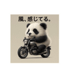 リアルかわいい日常パンダ2ᐢ⓿ᴥ⓿ᐢ₎（個別スタンプ：10）