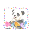 リアルかわいい日常パンダ2ᐢ⓿ᴥ⓿ᐢ₎（個別スタンプ：26）