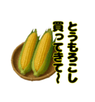 買ってきて〜シリーズ（野菜編2）（個別スタンプ：1）