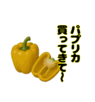 買ってきて〜シリーズ（野菜編2）（個別スタンプ：3）