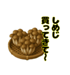 買ってきて〜シリーズ（野菜編2）（個別スタンプ：12）