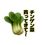 買ってきて〜シリーズ（野菜編2）（個別スタンプ：19）