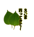 買ってきて〜シリーズ（野菜編2）（個別スタンプ：20）