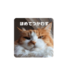 なーさんの毎日2（個別スタンプ：4）