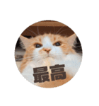 なーさんの毎日2（個別スタンプ：10）
