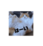 なーさんの毎日2（個別スタンプ：11）