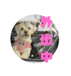 ココさんスタンプ02（個別スタンプ：8）