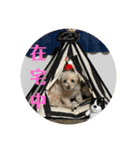 ココさんスタンプ02（個別スタンプ：15）