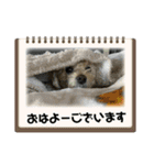 ココさんスタンプ02（個別スタンプ：23）