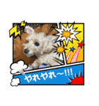 ココさんスタンプ02（個別スタンプ：25）