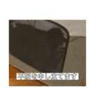 氏師ぶらうに〜(うにたん)（個別スタンプ：13）