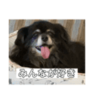 氏師ぶらうに〜(うにたん)（個別スタンプ：21）
