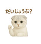 スコティッシュホールドの挨拶スタンプ（個別スタンプ：4）