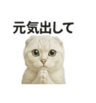 励ましにゃんこ（スコティッシュホールド）（個別スタンプ：7）