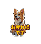 犬の会話101（個別スタンプ：16）