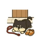 散歩に行きたくない黒豆柴（個別スタンプ：1）