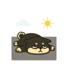 散歩に行きたくない黒豆柴（個別スタンプ：2）
