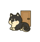 散歩に行きたくない黒豆柴（個別スタンプ：3）