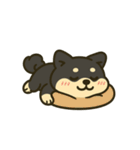 散歩に行きたくない黒豆柴（個別スタンプ：6）