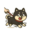 散歩に行きたくない黒豆柴（個別スタンプ：9）
