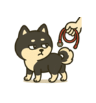 散歩に行きたくない黒豆柴（個別スタンプ：10）