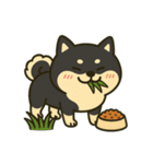 散歩に行きたくない黒豆柴（個別スタンプ：11）