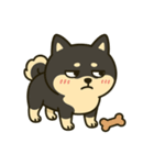 散歩に行きたくない黒豆柴（個別スタンプ：13）