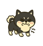 散歩に行きたくない黒豆柴（個別スタンプ：15）