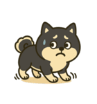 散歩に行きたくない黒豆柴（個別スタンプ：18）