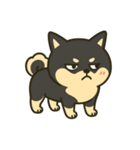散歩に行きたくない黒豆柴（個別スタンプ：20）