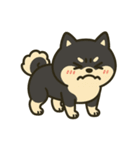 散歩に行きたくない黒豆柴（個別スタンプ：22）