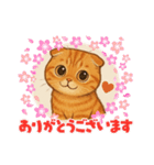 『スコティッシュフォールド』の猫スタンプ（個別スタンプ：1）