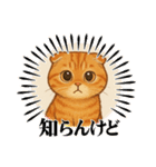 『スコティッシュフォールド』の猫スタンプ（個別スタンプ：4）