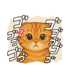 『スコティッシュフォールド』の猫スタンプ（個別スタンプ：5）