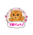 『スコティッシュフォールド』の猫スタンプ（個別スタンプ：6）