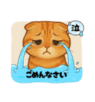 『スコティッシュフォールド』の猫スタンプ（個別スタンプ：8）