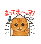 『スコティッシュフォールド』の猫スタンプ（個別スタンプ：10）