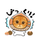 『スコティッシュフォールド』の猫スタンプ（個別スタンプ：14）