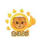 『スコティッシュフォールド』の猫スタンプ（個別スタンプ：21）