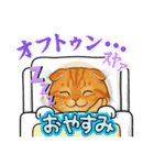 『スコティッシュフォールド』の猫スタンプ（個別スタンプ：22）